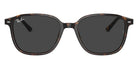 Ray-Ban RB2193 Leonard 902/GH 53 - Havana / Clear/Gray Photochromic #id:rb2193902gh_s:104100