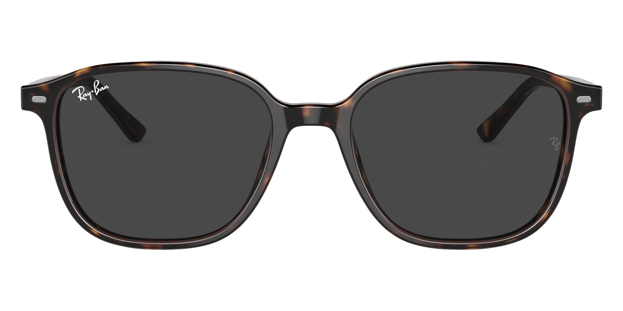 Ray-Ban RB2193 Leonard 902/GH 53 - Havana / Clear/Gray Photochromic #id:rb2193902gh_s:104100