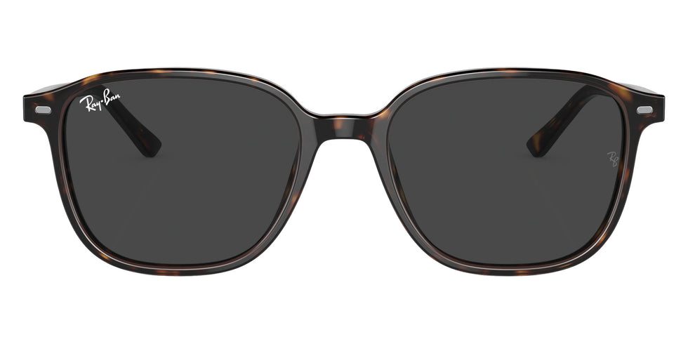 Ray-Ban RB2193 Leonard 902/GH 53 - Havana / Clear/Gray Photochromic #id:rb2193902gh_s:104100
