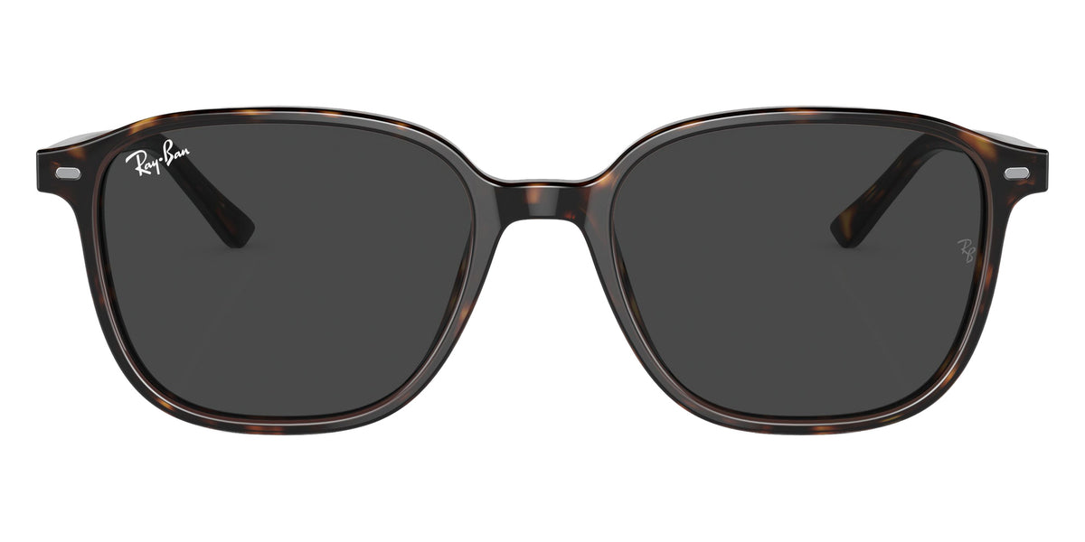 Ray-Ban RB2193 Leonard 902/GH 51 - Havana / Clear/Gray Photochromic #id:rb2193902gh_s:100100