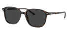 Ray-Ban RB2193 Leonard 902/GH 53 - Havana / Clear/Gray Photochromic #id:rb2193902gh_s:104110
