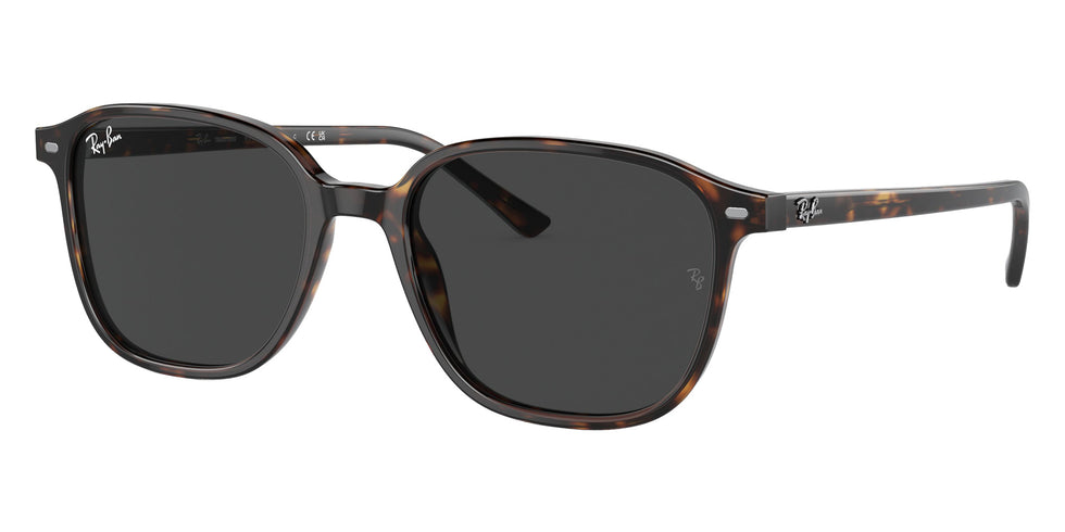 Ray-Ban RB2193 Leonard 902/GH 53 - Havana / Clear/Gray Photochromic #id:rb2193902gh_s:104110