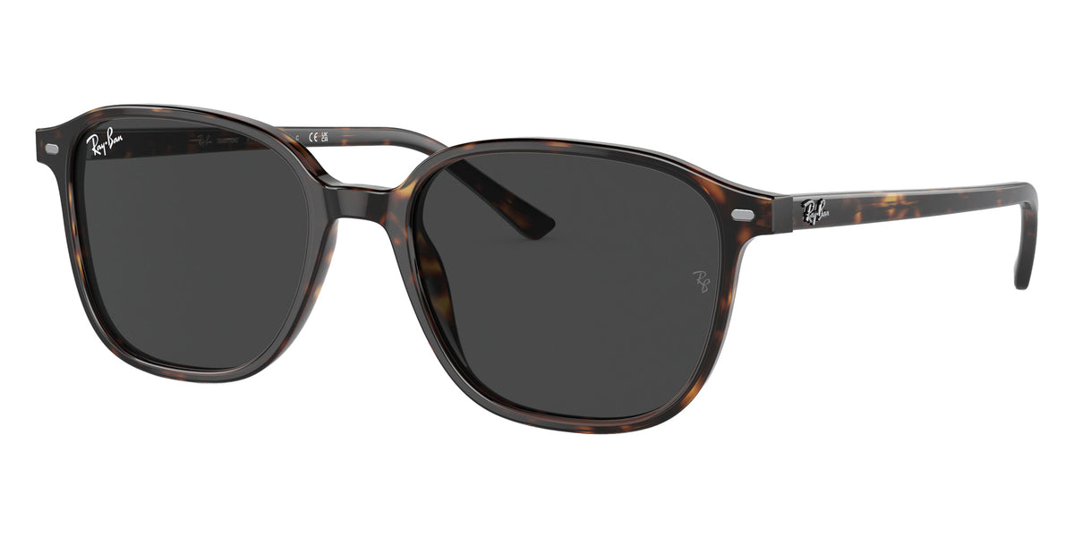 Ray-Ban RB2193 Leonard 902/GH 51 - Havana / Clear/Gray Photochromic #id:rb2193902gh_s:100110