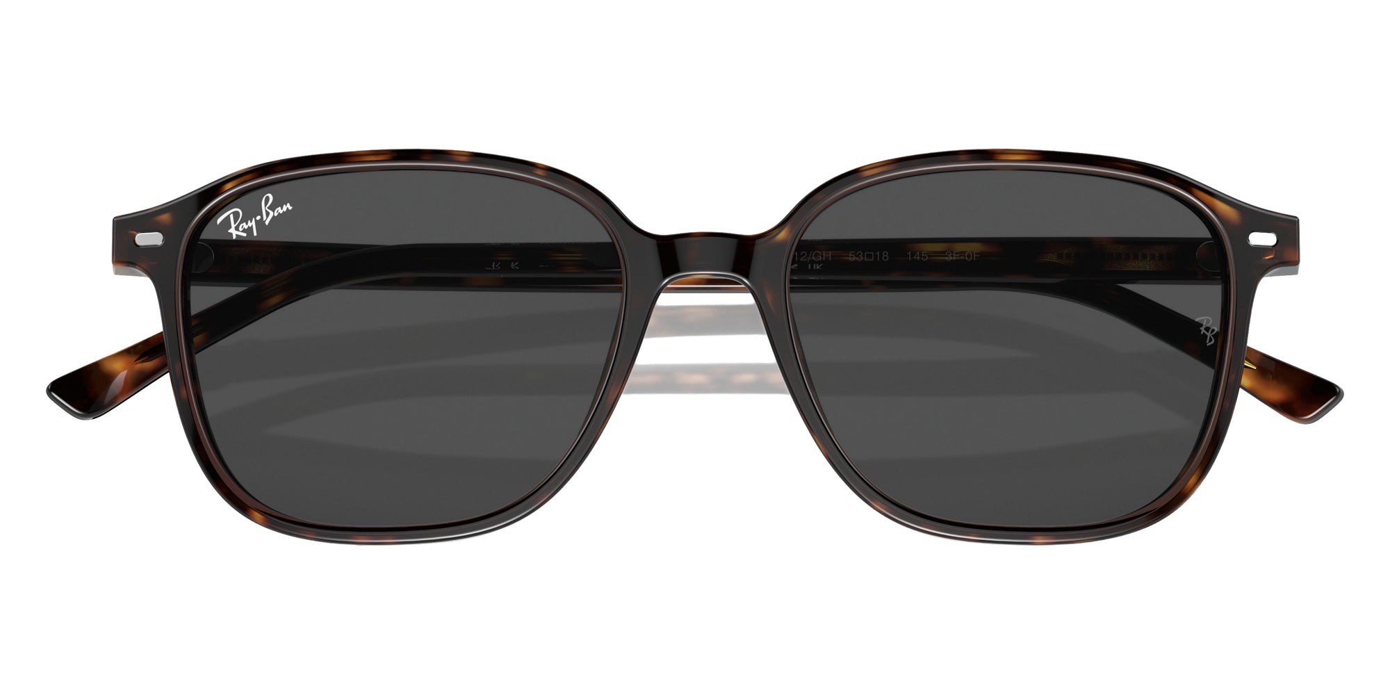 Ray-Ban RB2193 Leonard 902/GH 53 - Havana / Clear/Gray Photochromic #id:rb2193902gh_s:104135