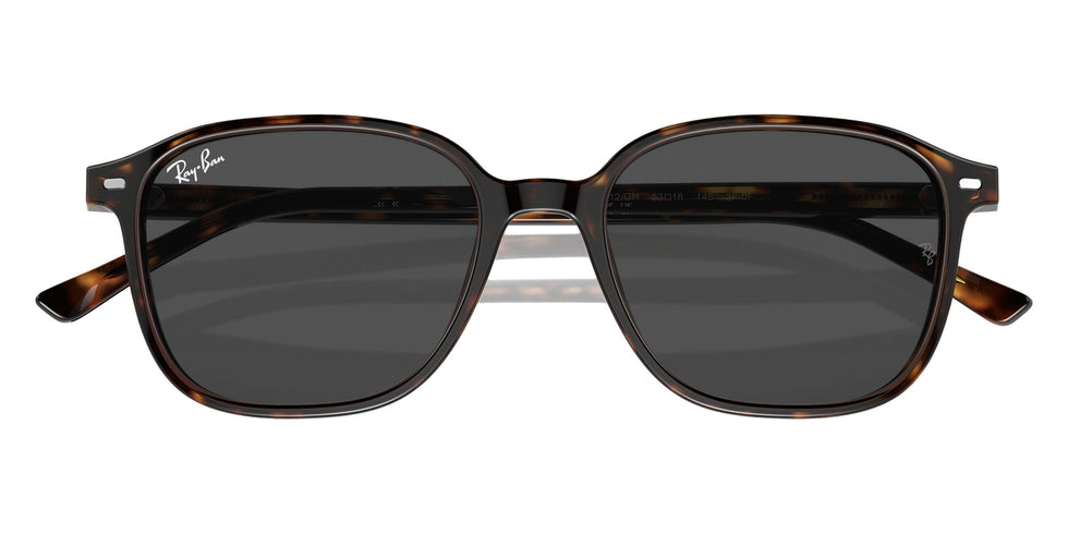 Ray-Ban RB2193 Leonard 902/GH 53 - Havana / Clear/Gray Photochromic #id:rb2193902gh_s:104135