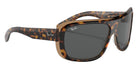 Ray-Ban RB2196 Blair 1292B1 64 - Havana on Transparent Brown / Dark Gray #id:rb21961292b1_s:100120
