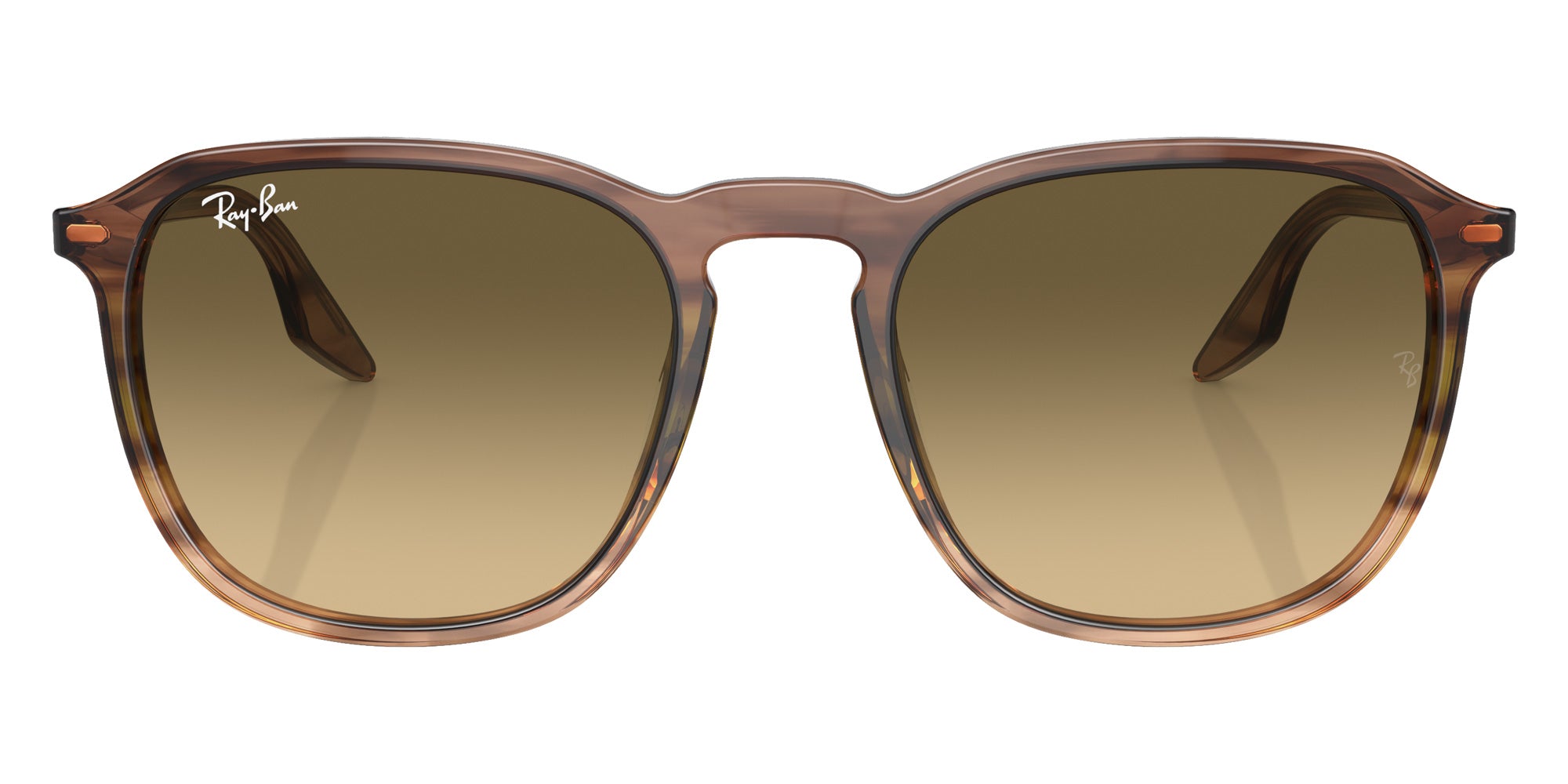 Ray-Ban RB2203 13920A 55 - Striped Brown & Green / Brown Black #id:rb220313920a_s:100100