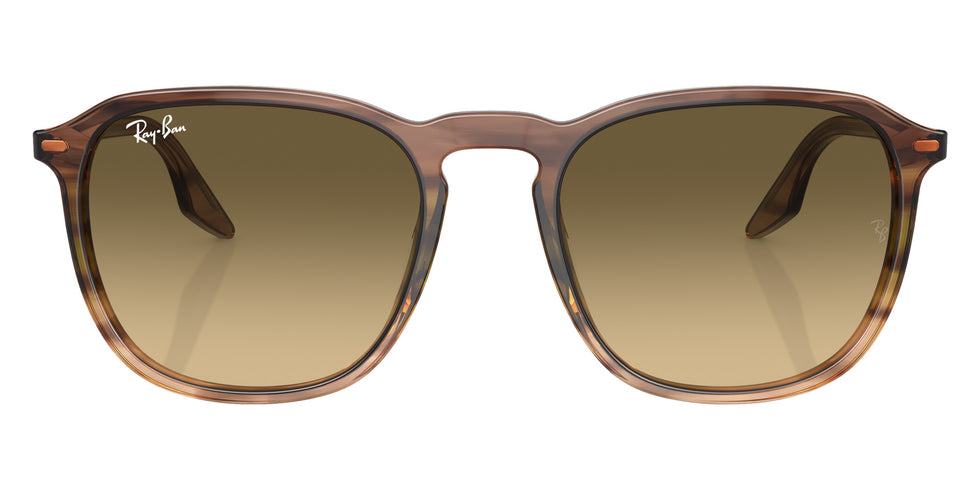 Ray-Ban RB2203 13920A 55 - Striped Brown & Green / Brown Black #id:rb220313920a_s:100100