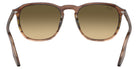 Ray-Ban RB2203 13920A 55 - Striped Brown & Green / Brown Black #id:rb220313920a_s:100115