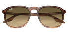 Ray-Ban RB2203 13920A 55 - Striped Brown & Green / Brown Black #id:rb220313920a_s:100125