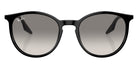 Ray-Ban RB2204 901/32 54 - Black / Light Gray #id:rb220490132_s:104100