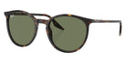 Ray-Ban RB2204 902/GJ 51 - Havana / Clear/Green Photochromic #id:rb2204902gj_s:100110