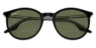 Ray-Ban RB2204F 919/58 54 - Black On Transparent / Green Polarized #id:rb2204f91958_s:100125