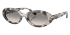 Ray-Ban RB2223F 144832 54 - Opal Gray Havana #id:rb2223f144832_s:100105