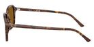 Ray-Ban RB2231F Raimond 141833 56 - Transparent Fantasy Brown #id:rb2231f141833_s:100110