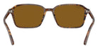 Ray-Ban RB2231F Raimond 141833 56 - Transparent Fantasy Brown #id:rb2231f141833_s:100115