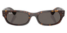Ray-Ban RB2236 902/B1 54 - Havana / Dark Gray #id:rb2236902b1_s:108100