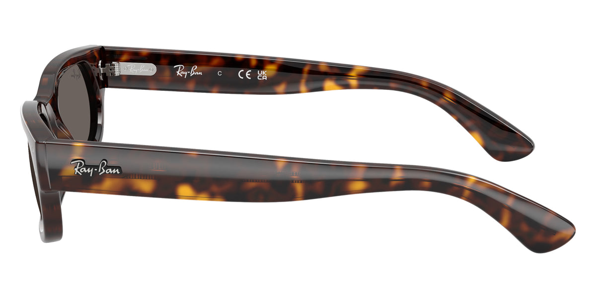 Ray-Ban RB2236 902/B1 54 - Havana / Dark Gray #id:rb2236902b1_s:108110