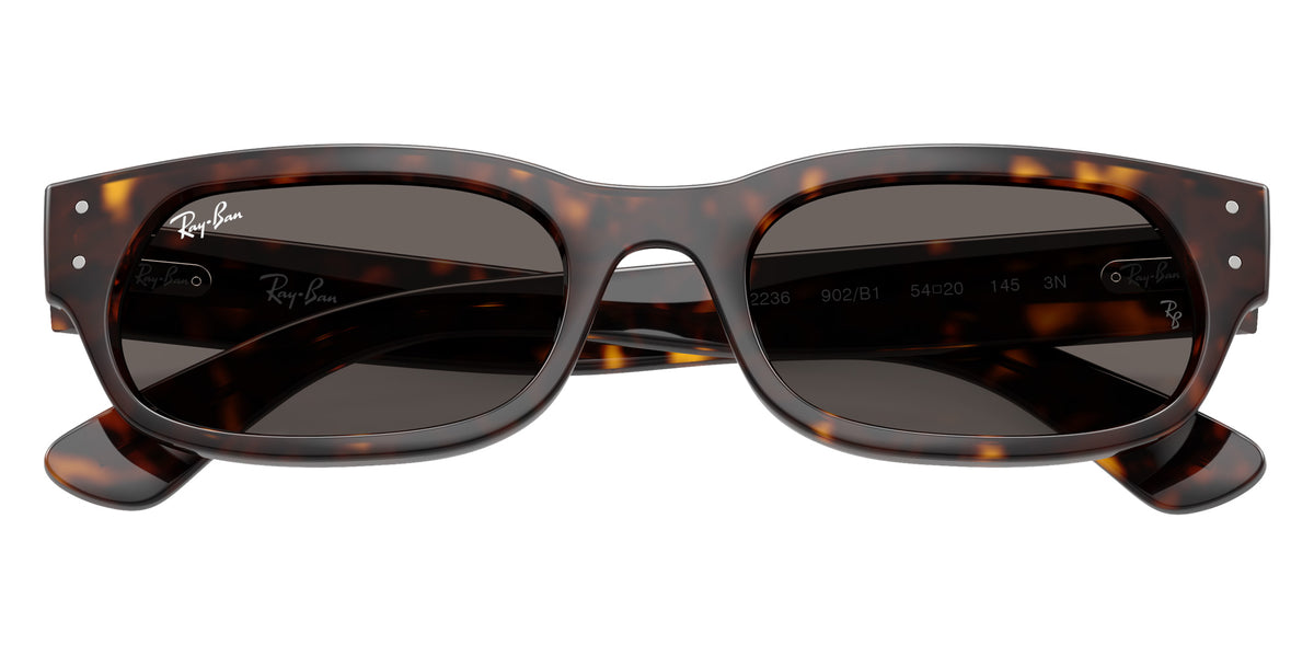 Ray-Ban RB2236 902/B1 54 - Havana / Dark Gray #id:rb2236902b1_s:108125