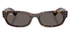 Ray-Ban RB2236F 902/B1 54 - Havana / Dark Gray #id:rb2236f902b1_s:106100