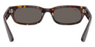 Ray-Ban RB2236F 902/B1 54 - Havana / Dark Gray #id:rb2236f902b1_s:106115