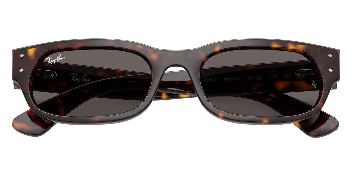 Ray-Ban RB2236F 902/B1 54 - Havana / Dark Gray #id:rb2236f902b1_s:106125