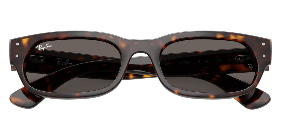 Ray-Ban RB2236F 902/B1 54 - Havana / Dark Gray #id:rb2236f902b1_s:106125