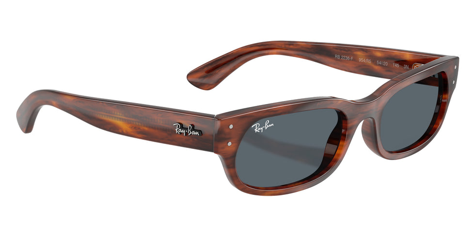 Ray-Ban RB2236F 954/R5 54 - Striped Havana / Blue #id:rb2236f954r5_s:108120