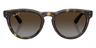 Ray-Ban RB2237 710/T5 51 - Havana / Polarized Light Gray Gradient Brown #id:rb2237710t5_s:108100