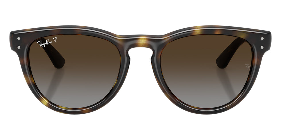 Ray-Ban RB2237 710/T5 51 - Havana / Polarized Light Gray Gradient Brown #id:rb2237710t5_s:108100