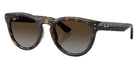 Ray-Ban RB2237 710/T5 51 - Havana / Polarized Light Gray Gradient Brown #id:rb2237710t5_s:108105