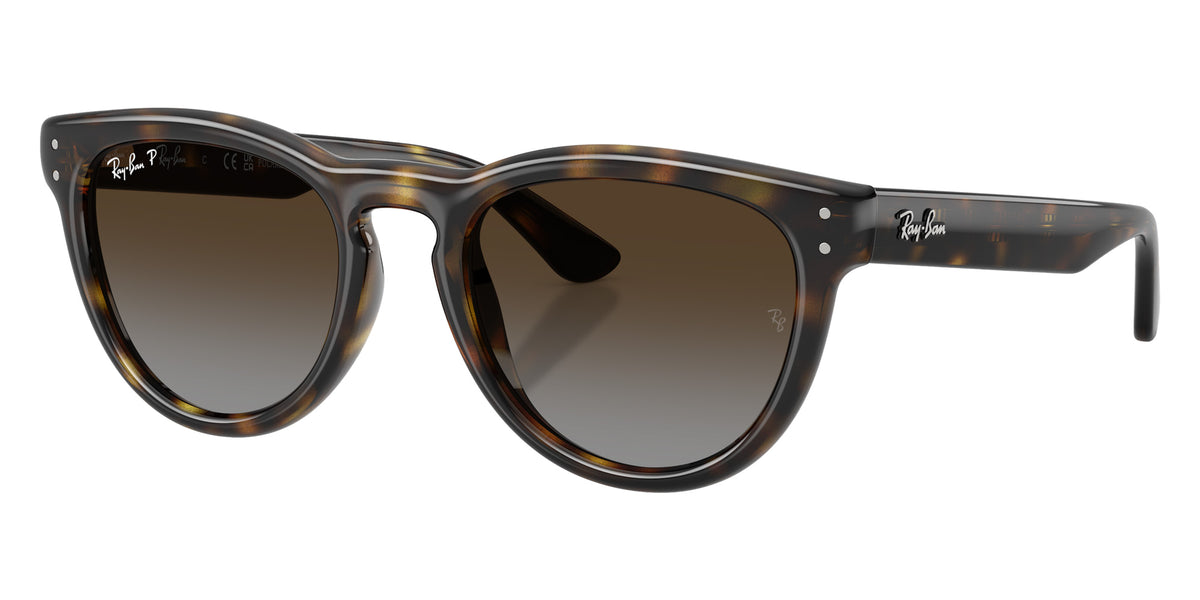 Ray-Ban RB2237 710/T5 51 - Havana / Polarized Light Gray Gradient Brown #id:rb2237710t5_s:108105