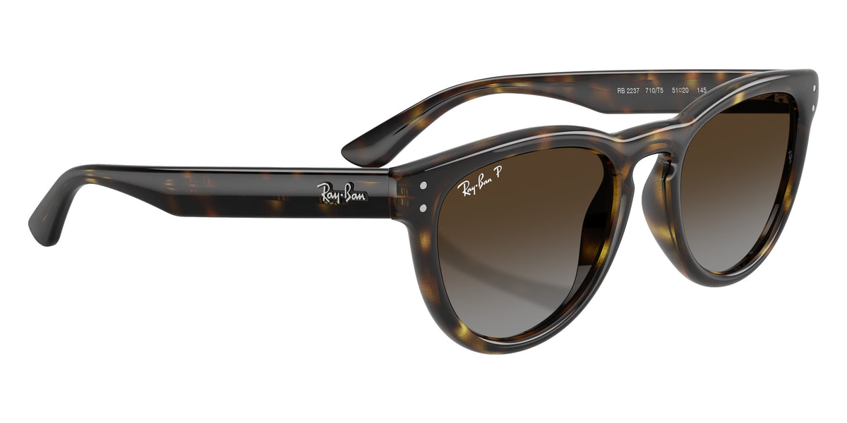 Ray-Ban RB2237 710/T5 51 - Havana / Polarized Light Gray Gradient Brown #id:rb2237710t5_s:108120
