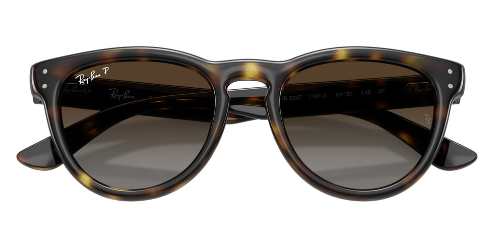 Ray-Ban RB2237 710/T5 51 - Havana / Polarized Light Gray Gradient Brown #id:rb2237710t5_s:108125