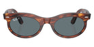 Ray-Ban RB2242F Wayfarer Oval 954/3R 53 - Striped Havana #id:rb2242f9543r_s:100100
