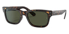 Ray-Ban RB2283 Burbank 902/31 55 - Havana #id:rb228390231_s:100105