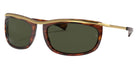 Ray-Ban RB2319 Olympian I 954/31 62 - Striped Havana / G-15 Green #id:rb231995431_s:100105