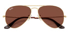 Ray-Ban RB3025 Aviator Large Metal 001/C5 58 - Arista Gold / Red #id:rb3025001c5_s:104125