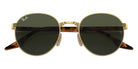 Ray-Ban RB3691 001/31 51 - Arista Gold #id:rb369100131_s:100125