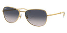 Ray-Ban RB3733 001/78 59 - Arista Gold / Blue Polarized #id:rb373300178_s:102105
