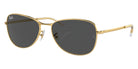 Ray-Ban RB3733 001/GH 59 - Arista Gold / Clear/Gray Photochromic #id:rb3733001gh_s:100110