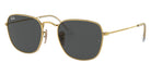 Ray-Ban RB3857 Frank 001/GH 48 - Arista Gold / Clear/Gray Photochromic #id:rb3857001gh_s:100110