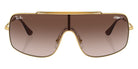 Ray-Ban RB3897 Wings III 001/13 136 - Arista Gold / Brown #id:rb389700113_s:100100