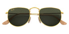 Ray-Ban RB3958 Elon 919631 50 - Gold / G-15 Green #id:rb3958919631_s:100125