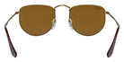 Ray-Ban RB3958 Elon 922833 47 - Antique Gold / Brown #id:rb3958922833_s:100115