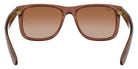 Ray-Ban RB4165 Justin Classic 659413 55 - Transparent Light Brown / Brown #id:rb4165659413_s:100115