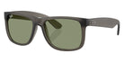 Ray-Ban RB4165F Justin Classic 687382 55 - Opal Gray #id:rb4165f687382_s:102105