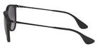 Ray-Ban RB4171F Erika Classic 622/8G 57 - Rubber Black / Gray #id:rb4171f6228g_s:100110