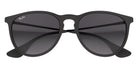 Ray-Ban RB4171F Erika Classic 622/8G 57 - Rubber Black / Gray #id:rb4171f6228g_s:100125