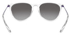 Ray-Ban RB4171F Erika Color Mix 651611 54 - Transparent / Gray #id:rb4171f651611_s:100115